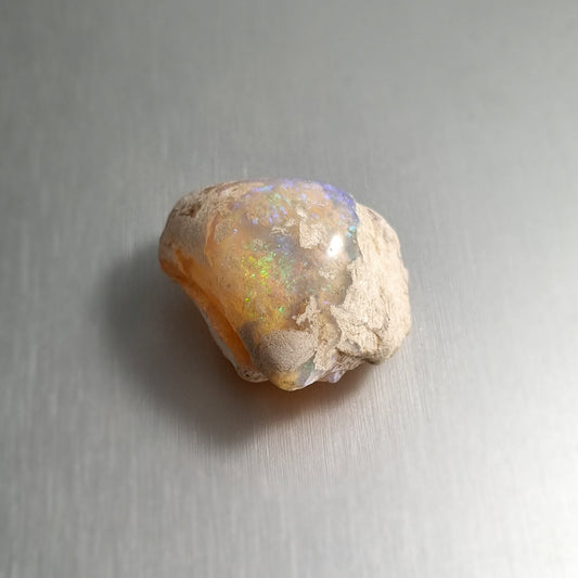 Coober Pedy Opalised Shell Fossil