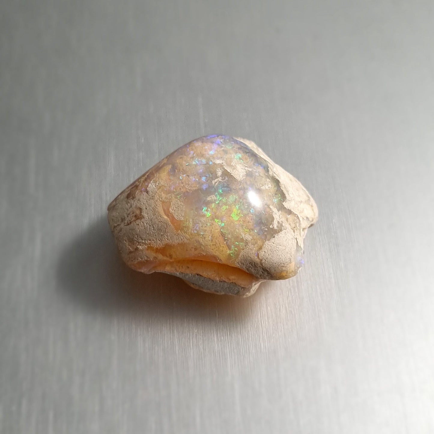 Coober Pedy Opalised Shell Fossil