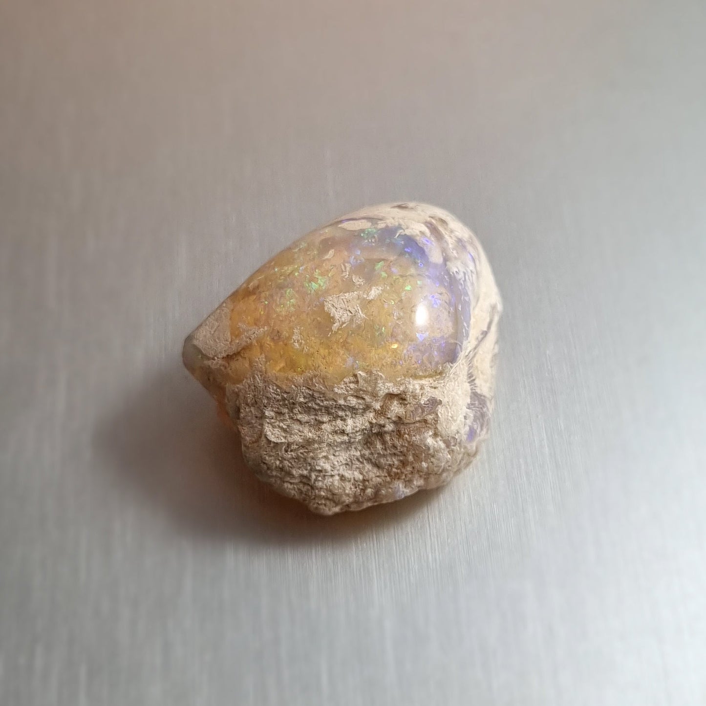 Coober Pedy Opalised Shell Fossil