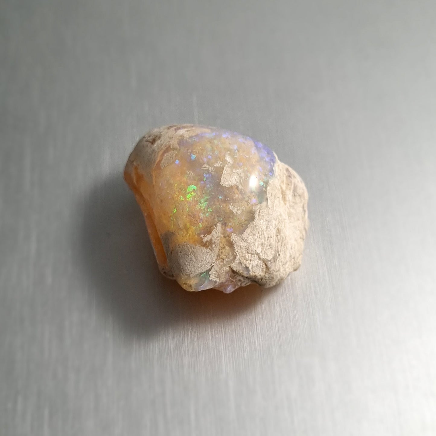 Coober Pedy Opalised Shell Fossil
