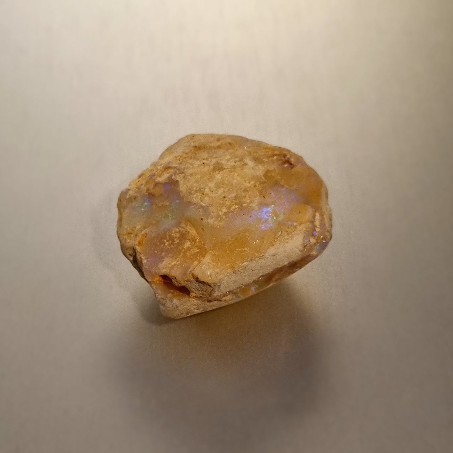 Coober Pedy Opalised Shell Fossil