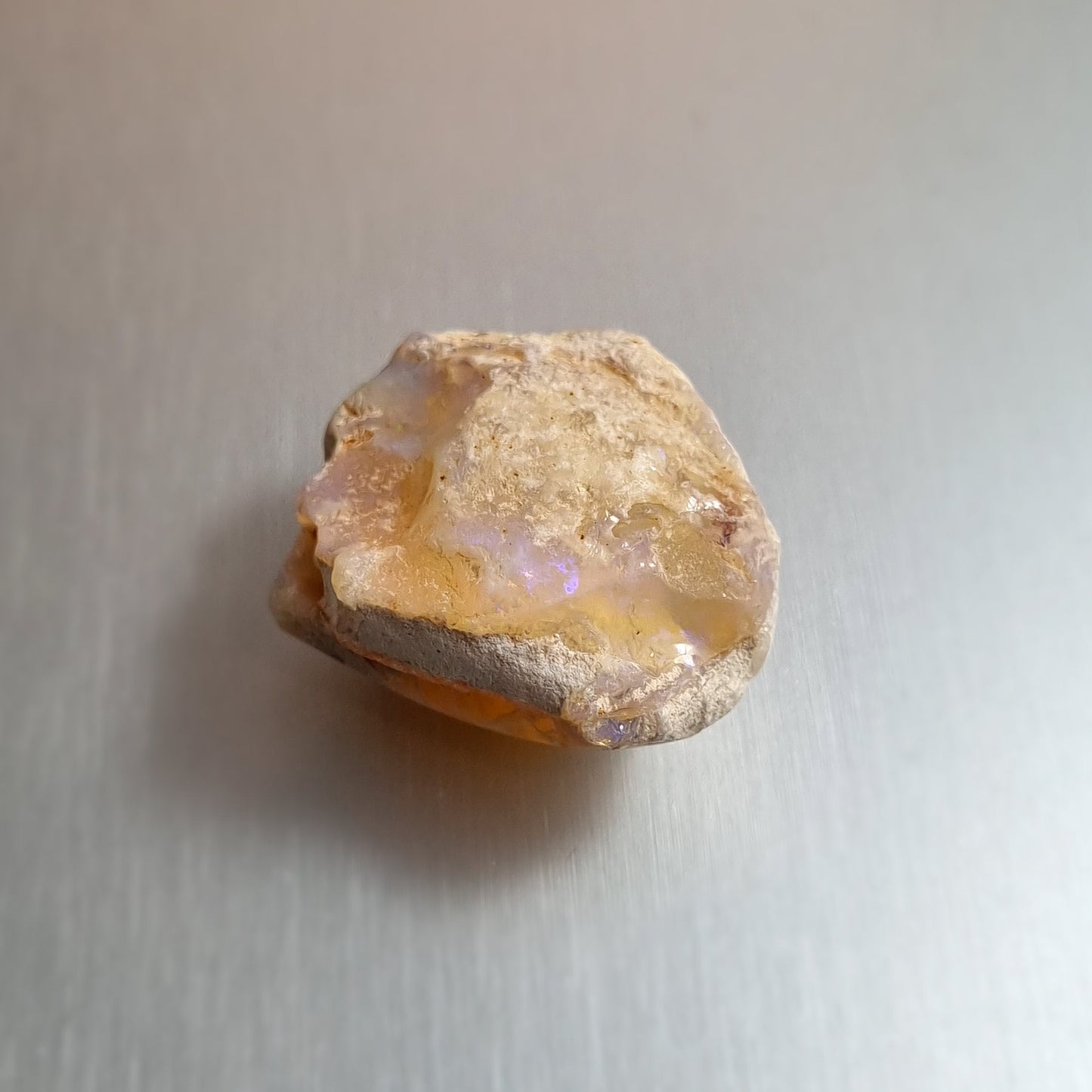 Coober Pedy Opalised Shell Fossil