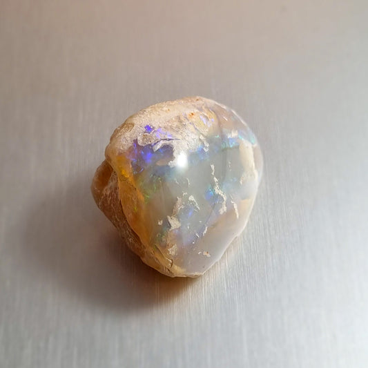 Coober Pedy Opalised Shell Fossil