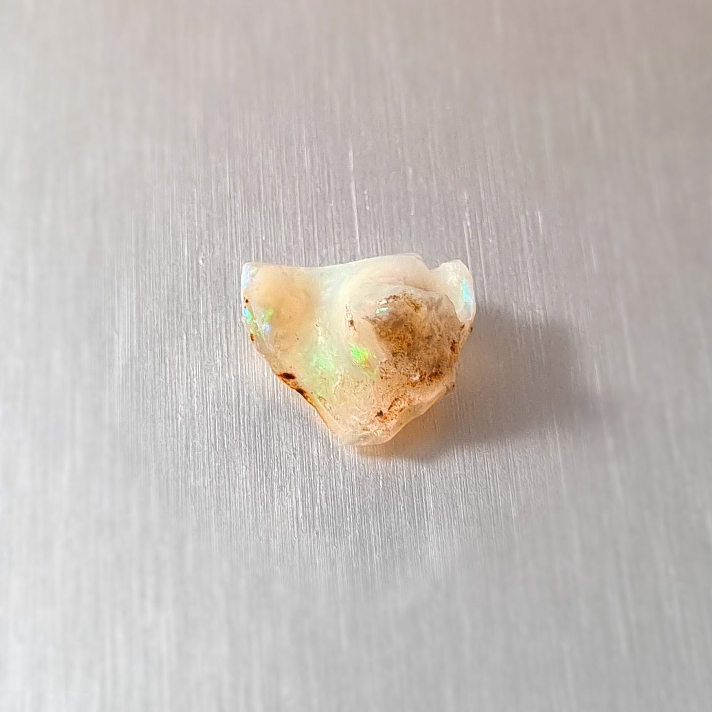Coober Pedy Opalised Snail Fossil