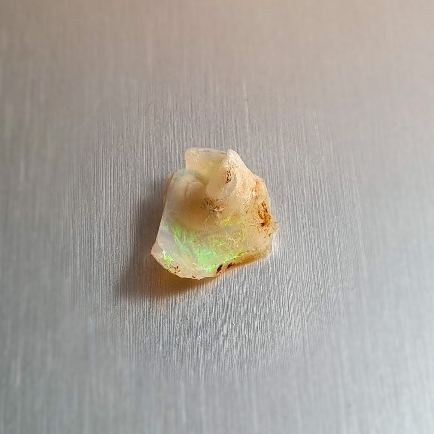 Coober Pedy Opalised Snail Fossil