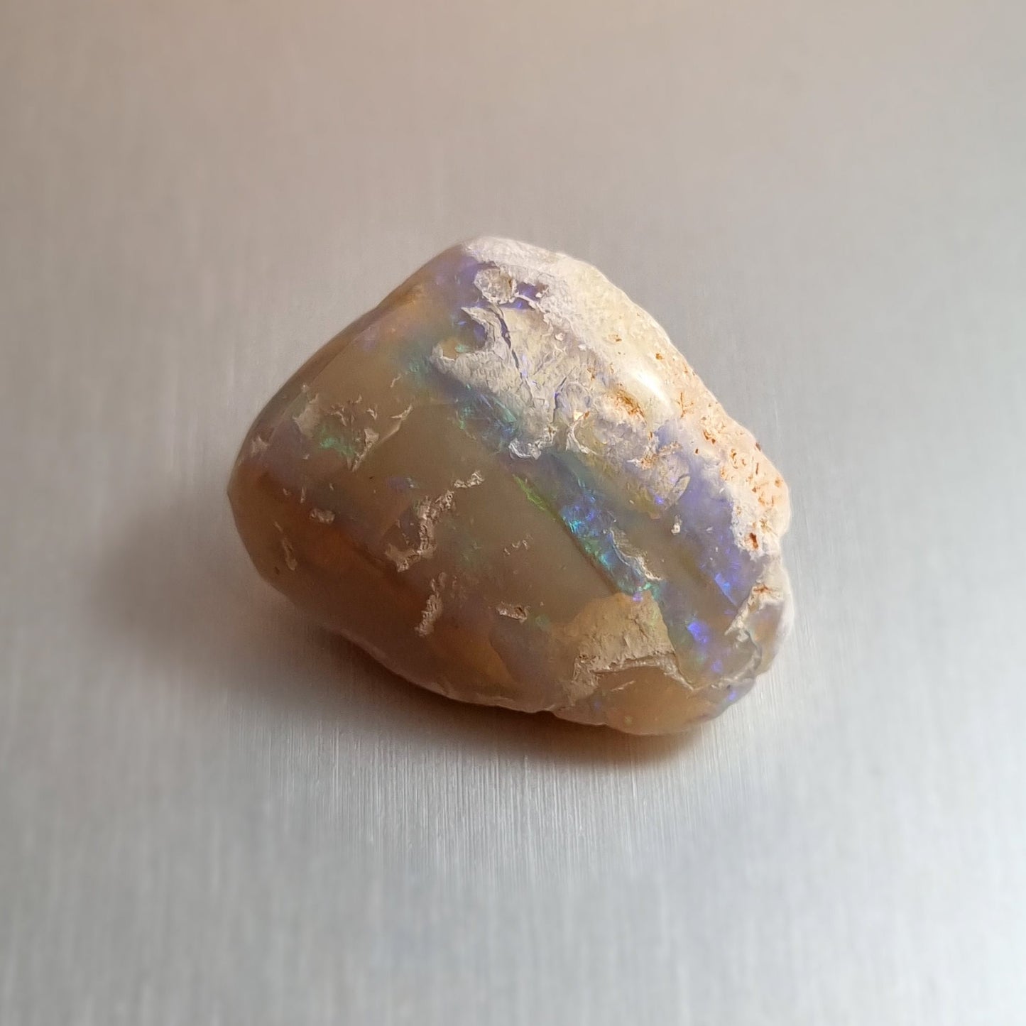 Coober Pedy Opalised Shell Fossil