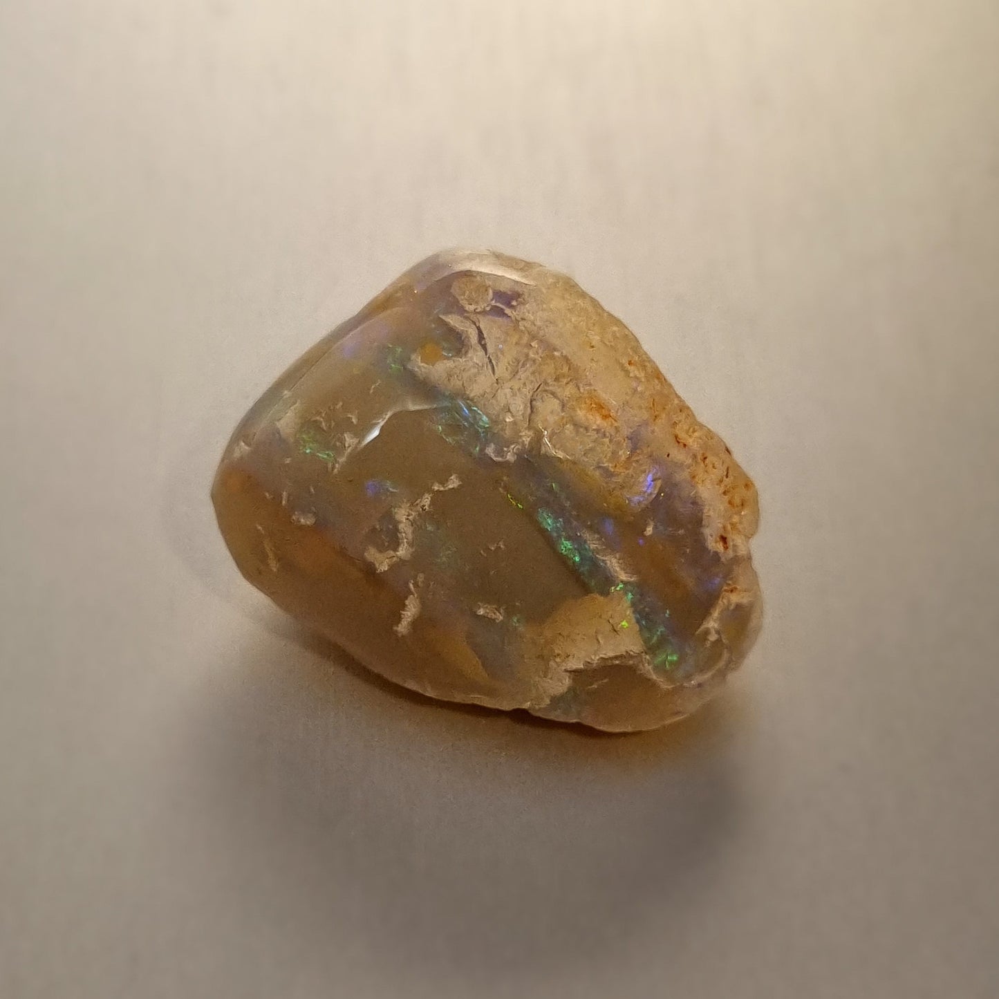 Coober Pedy Opalised Shell Fossil