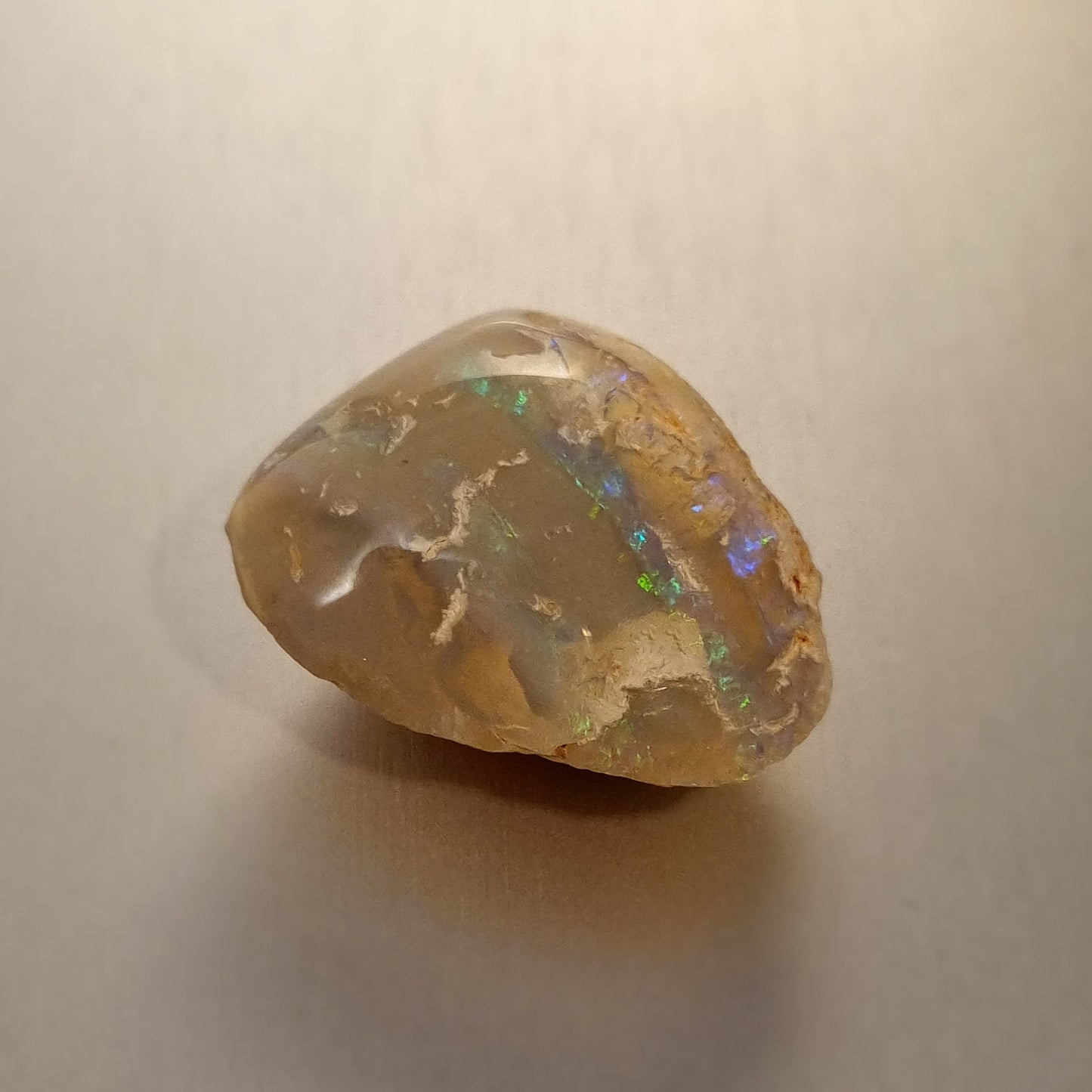 Coober Pedy Opalised Shell Fossil