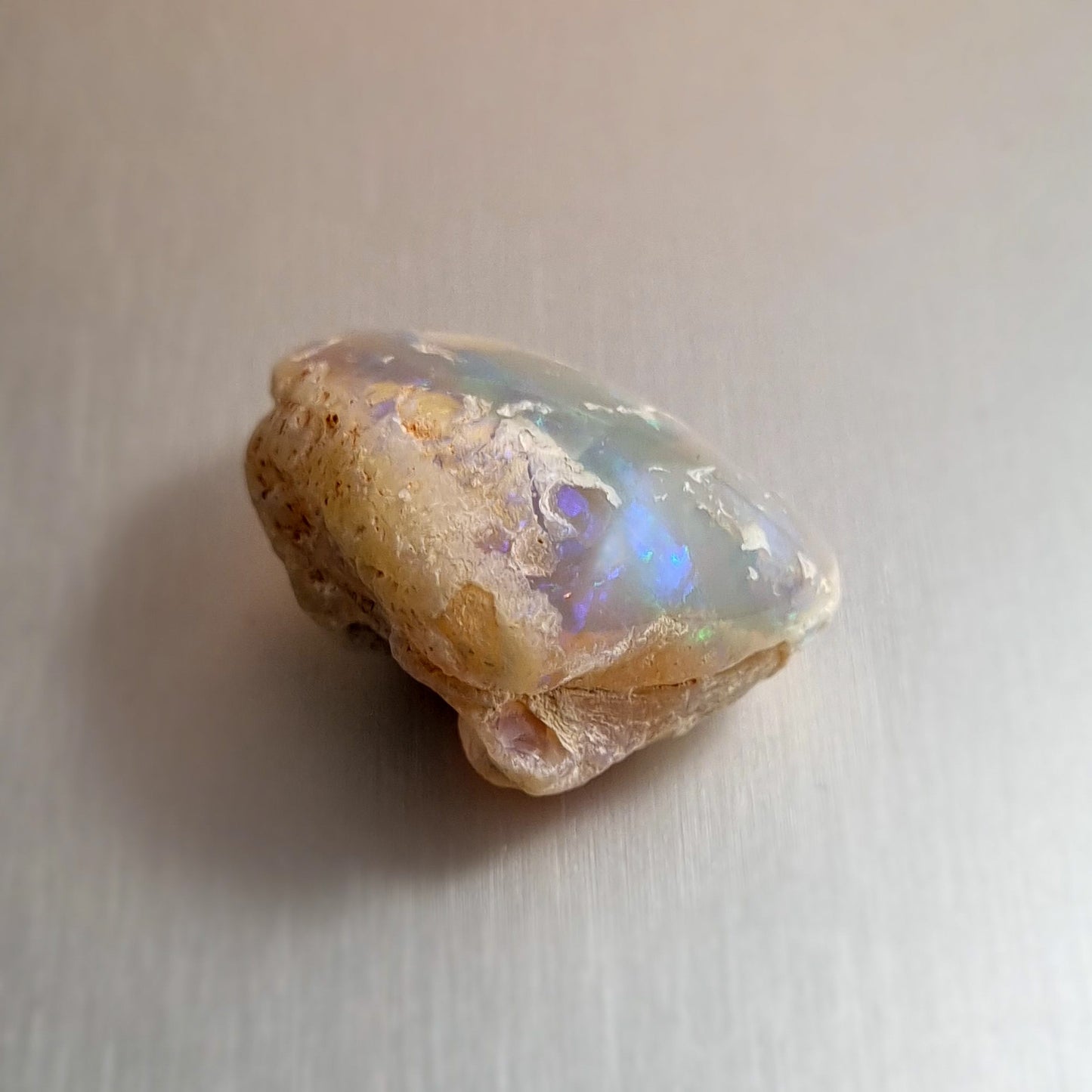 Coober Pedy Opalised Shell Fossil